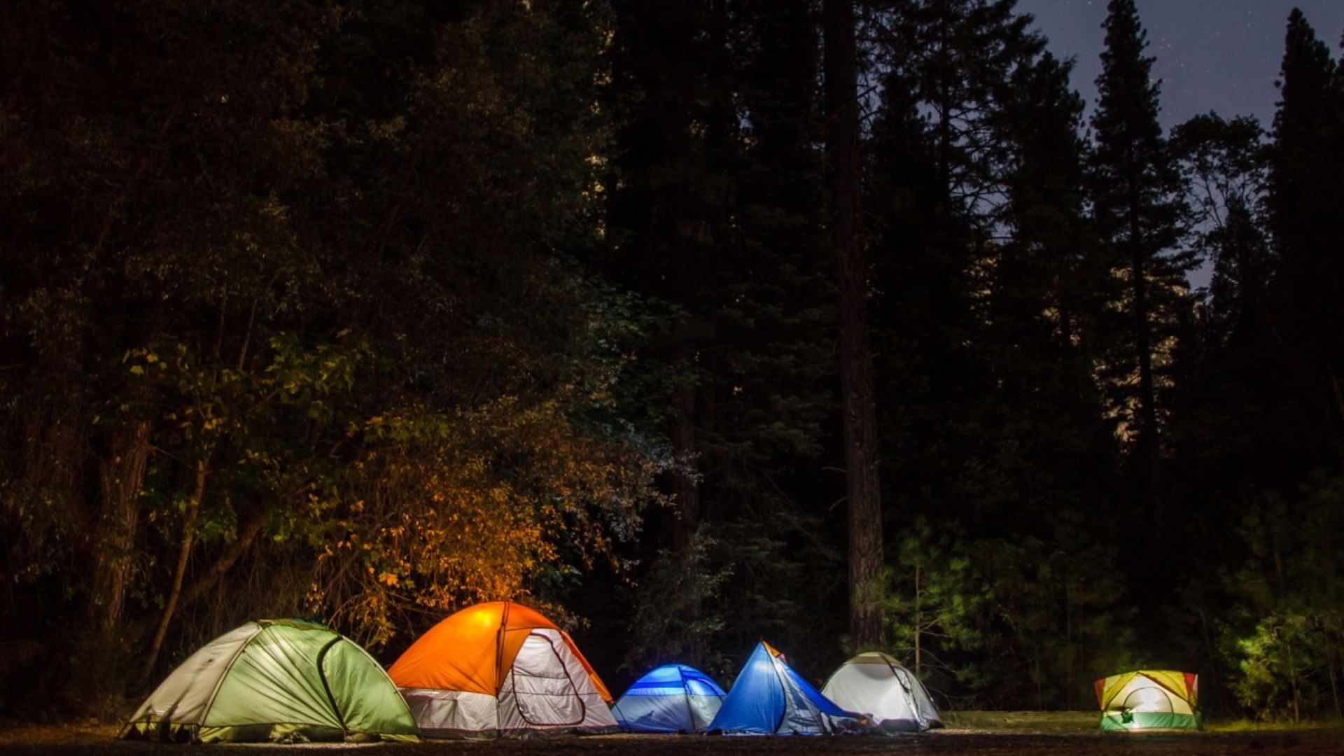 Campsite Movie Night