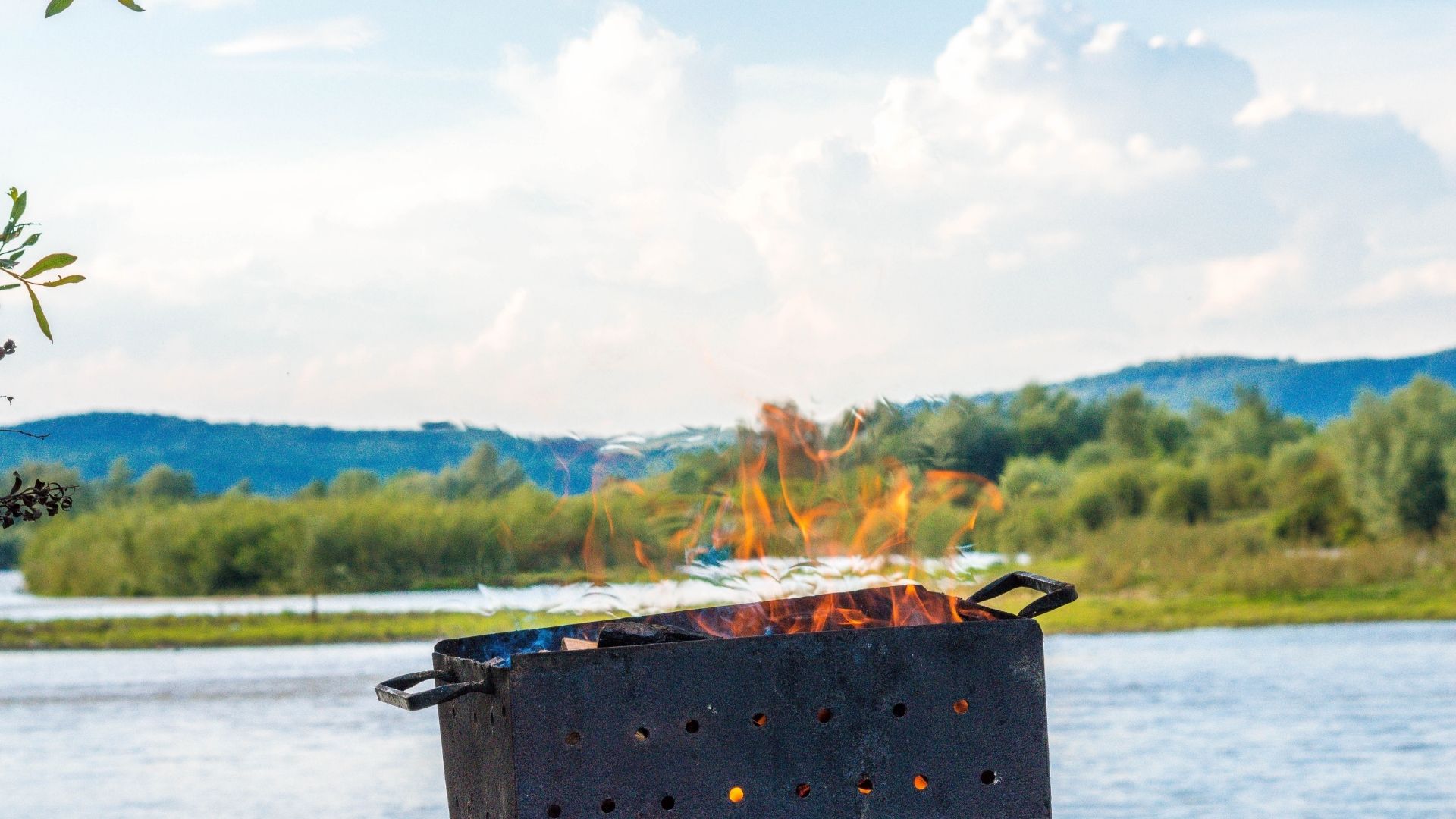 backyard BBQ products