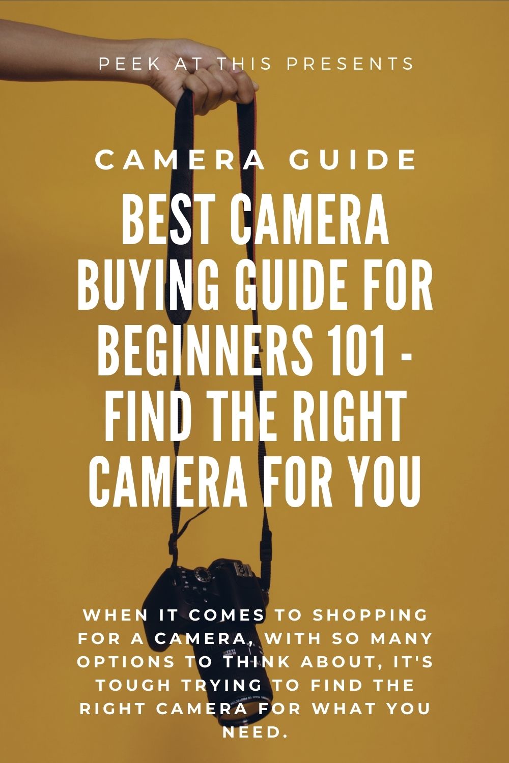 Best Camera Buying Guide For Beginners 101 - Find The Right Camera For You