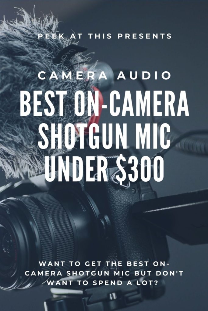 On-camera shotgun Mic for under 300 dollars to improve sound
