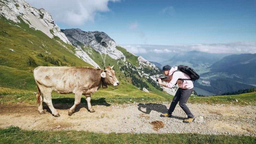 Mistakes You Could Be Making as a Travel Videographer