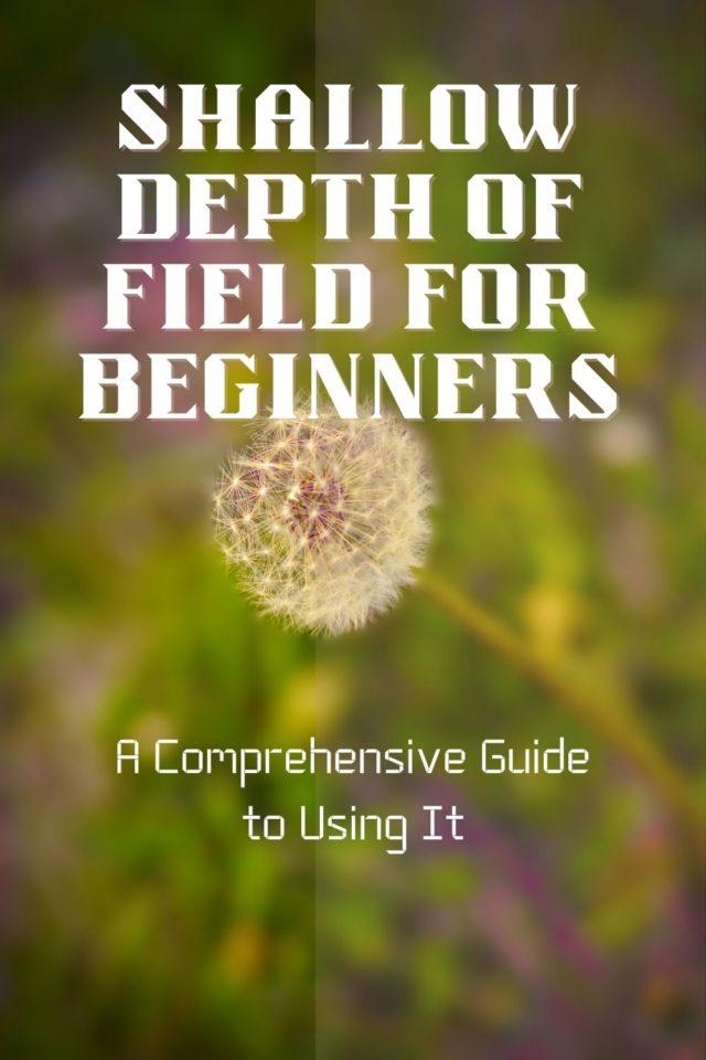 Shallow Depth of Field for Beginners: A Comprehensive Guide to Using It