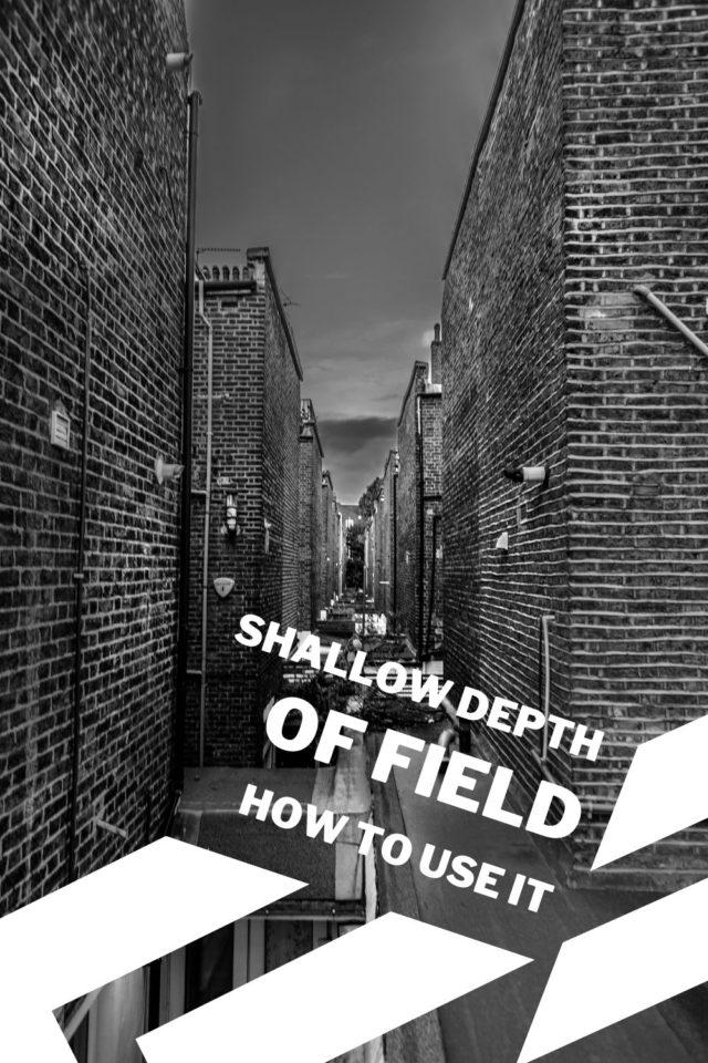 Shallow Depth of Field for Beginners: A Comprehensive Guide to Using It