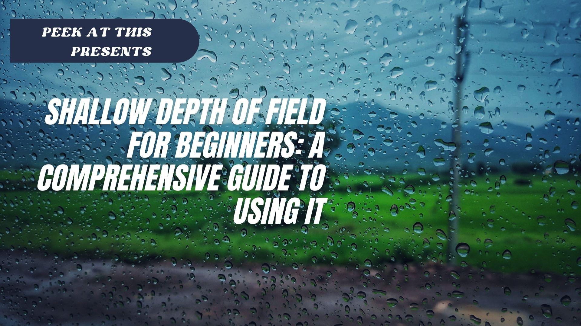 Shallow Depth of Field for Beginners: A Comprehensive Guide to Using It