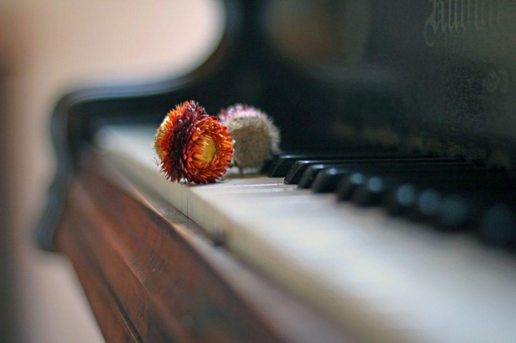 shallow depth of field