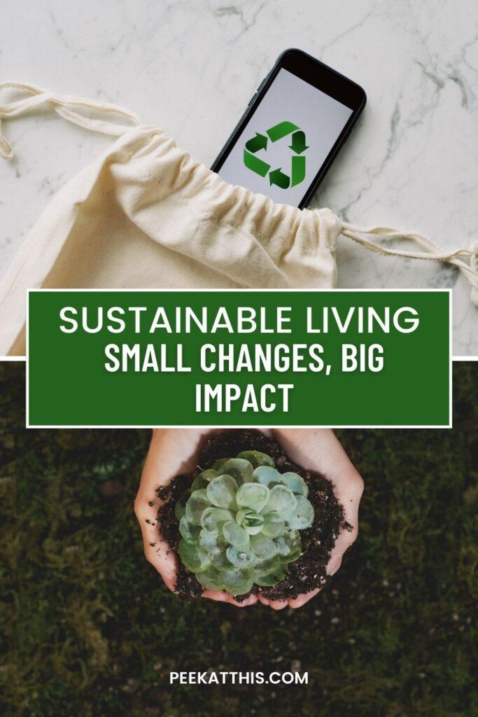 Sustainable Living: Small Changes, Big Impact