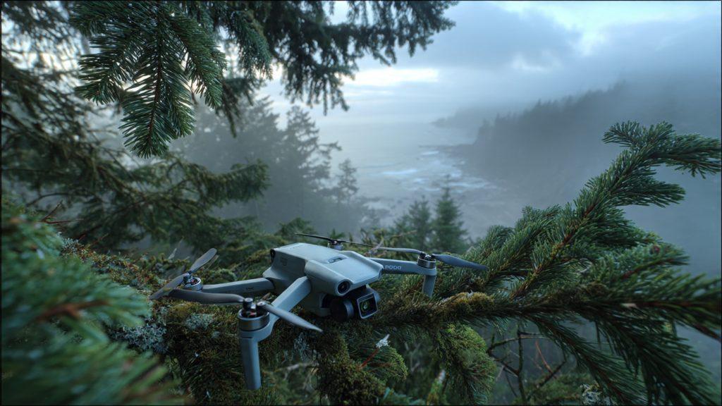 DJI Mini 4 Pro crashed in Douglas fir branches, Sooke coastal fog background, Pacific Ocean visible below, broken propeller, dawn light