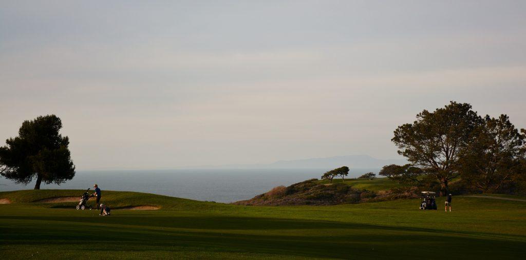 The Ultimate Bucket List: Legendary Golf Courses for Your Dream Trip torrey pines