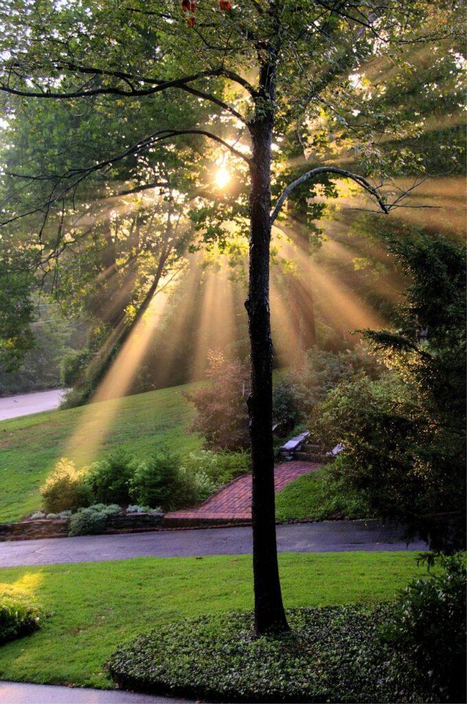 stepping outside in sunlight