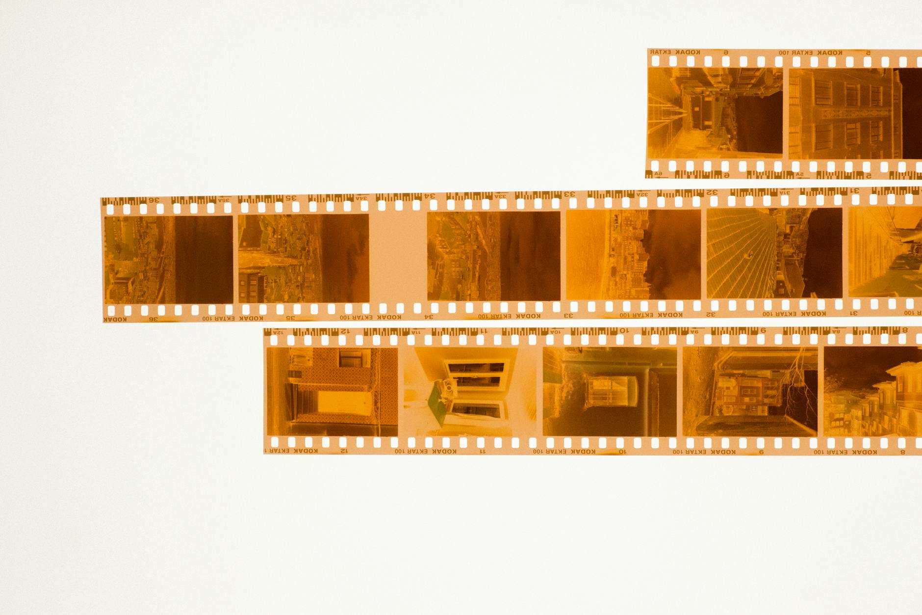 film portfolio camera film on light table